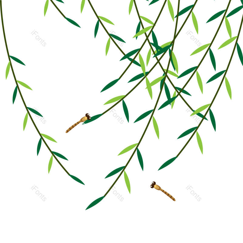 小满图片,夏天元素,树枝PNG,绿色元素免抠素材